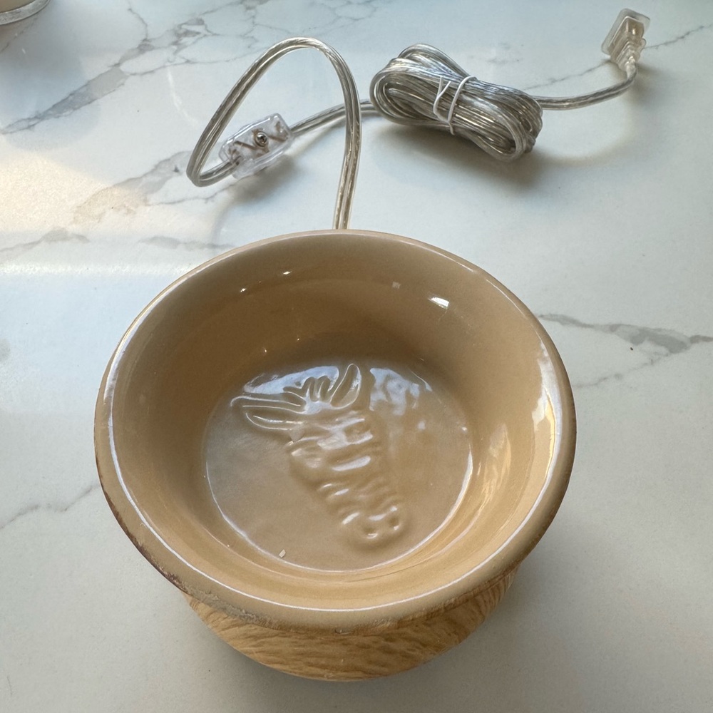 Pink Zebra Simmer Pot - Picture 4 of 4